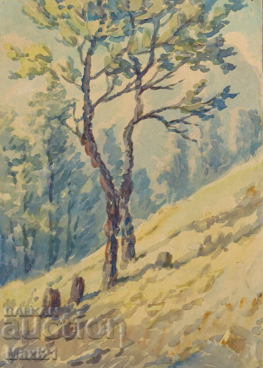 Auction  Old landscape painting watercolor nature