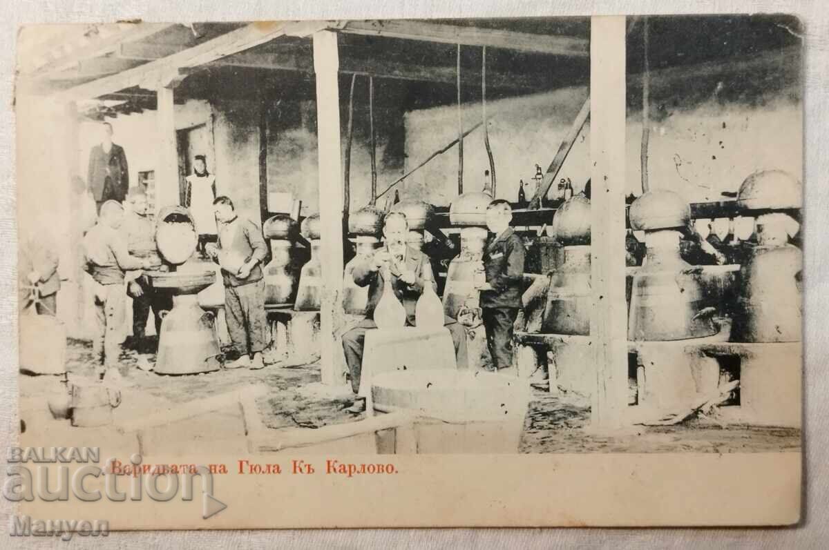 Old postcard - The Rose Harvest in Karlovo