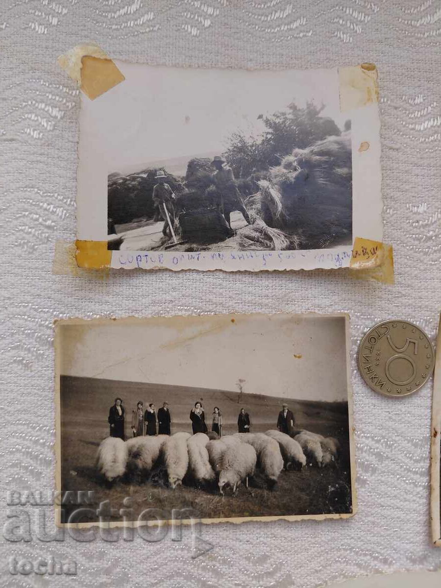 Old photos from Svishtov. BZC with price 10.00 BGN | € 5.11 Old photos from Svishtov. BZC with price 10.00 BGN | € 5.11