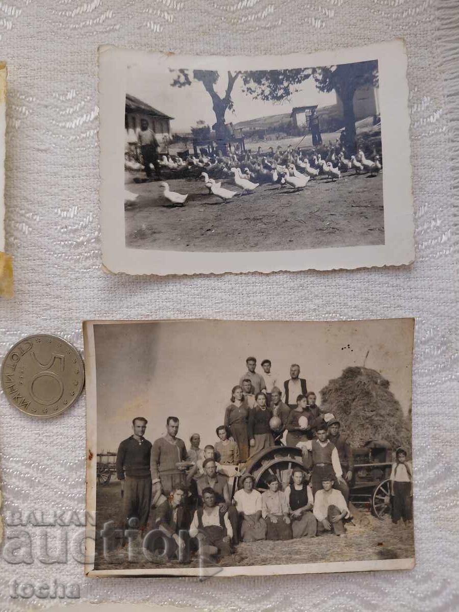 Auction Old photos from Svishtov. BZC Auction Old photos from Svishtov. BZC