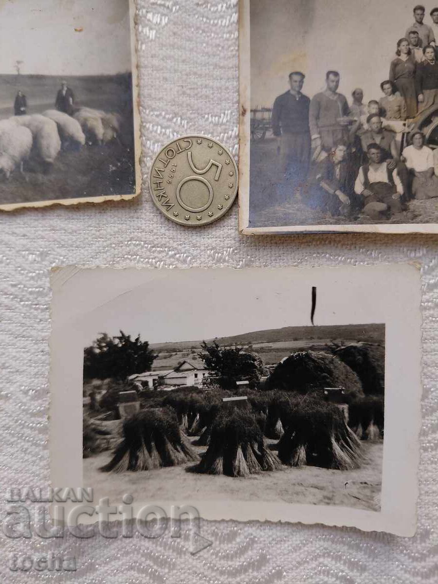 Delivery of Old photos from Svishtov. BZC Delivery of Old photos from Svishtov. BZC