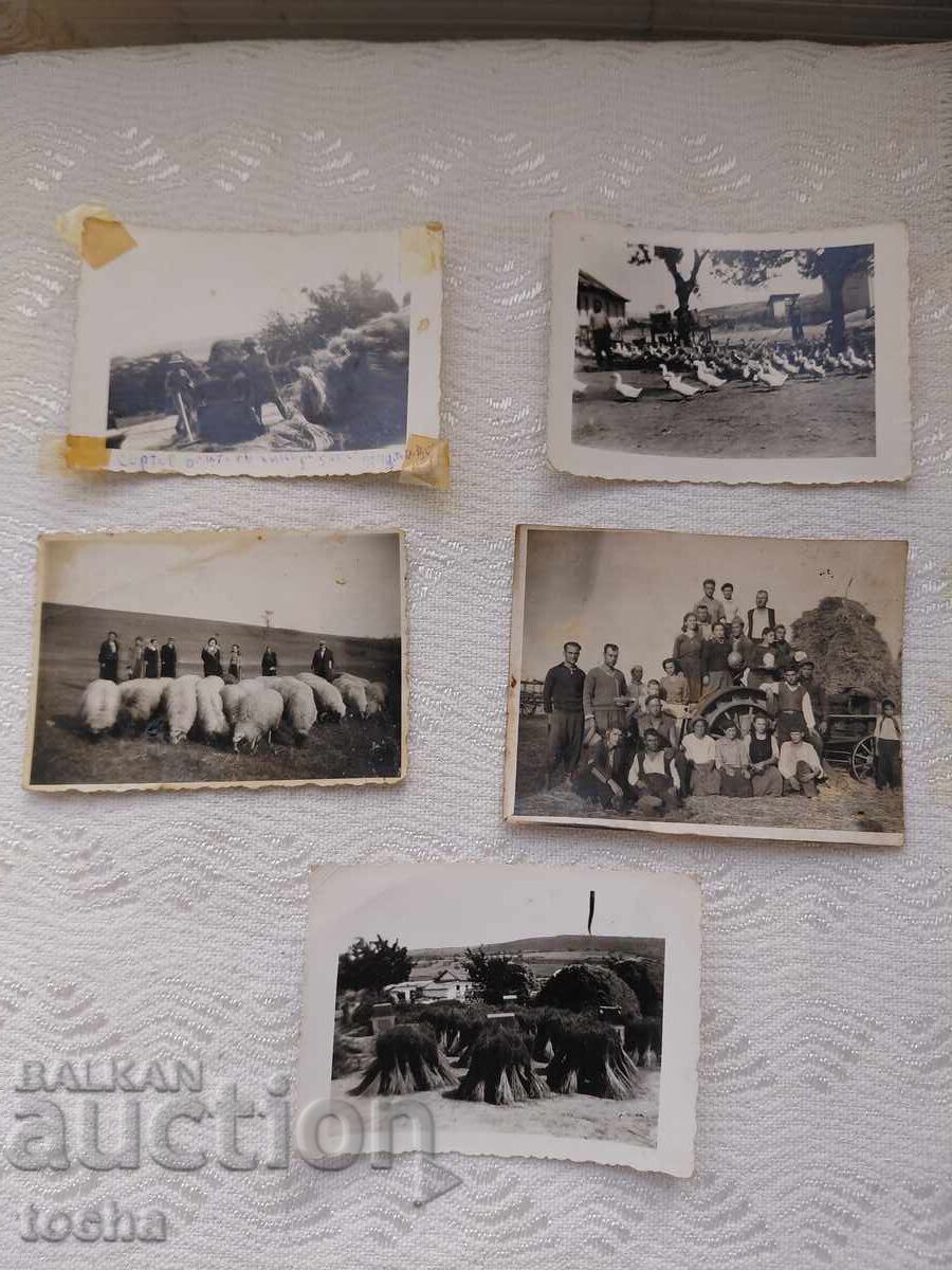 Old photos from Svishtov. BZC Old photos from Svishtov. BZC