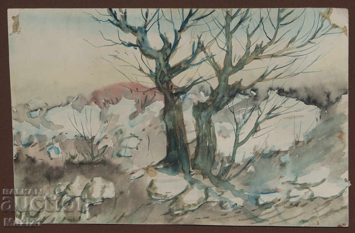 Pictură veche acuarelă peisaj natural cu preț 120.00 BGN | € 61.36