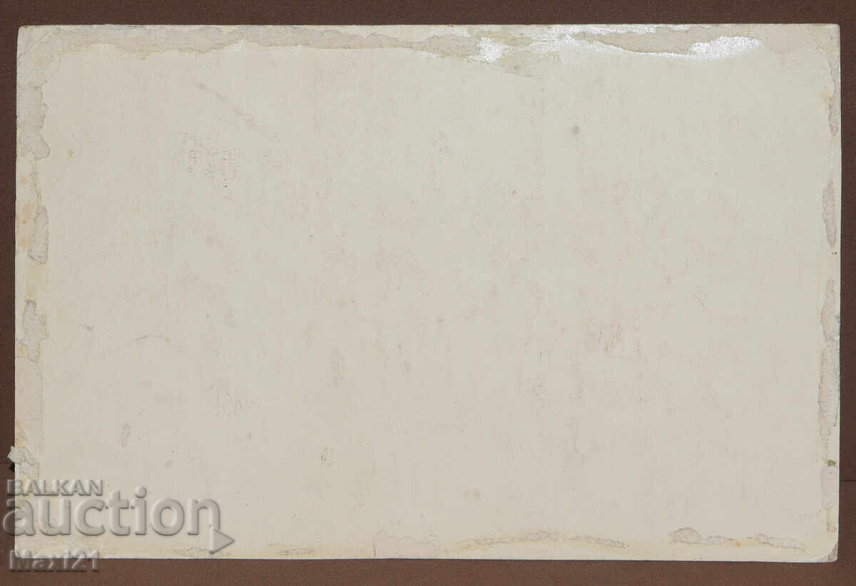 Pictură veche acuarelă peisaj natural - 7