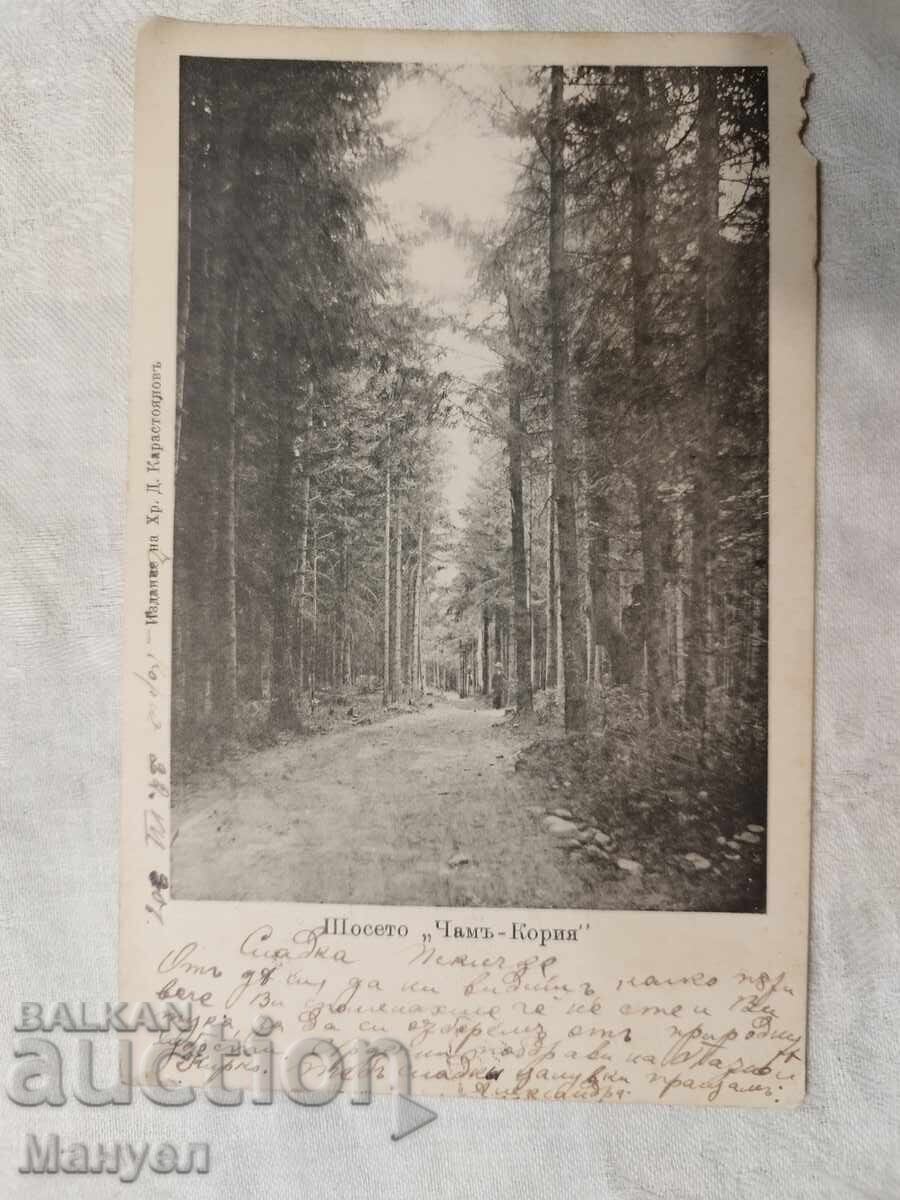 Παλιά καρτ ποστάλ "Σοσέ το Τσαμ Κόρια" Παλιά καρτ ποστάλ "Σοσέ το Τσαμ Κόρια"