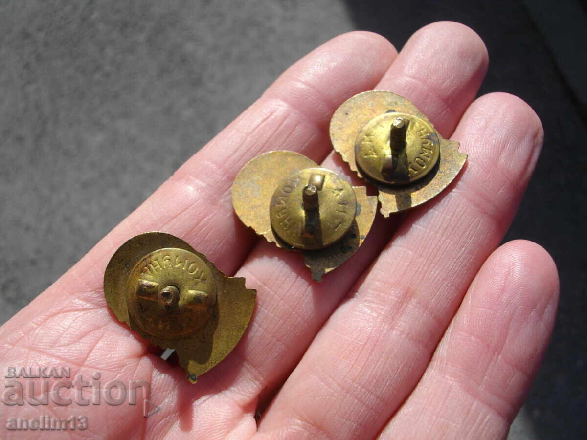 Delivery of Lot of Badges Narodni Strelac Bronze Enamel Screwback Delivery of Lot of Badges Narodni Strelac Bronze Enamel Screwback