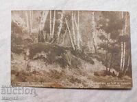 Παλιά καρτ ποστάλ