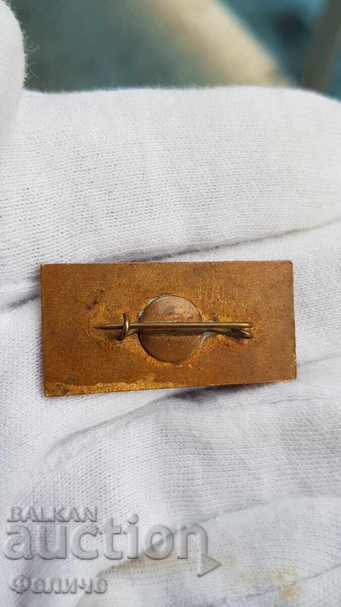 Livrarea Semn comunist rar Pionier, Congresul IX al PCBulgar