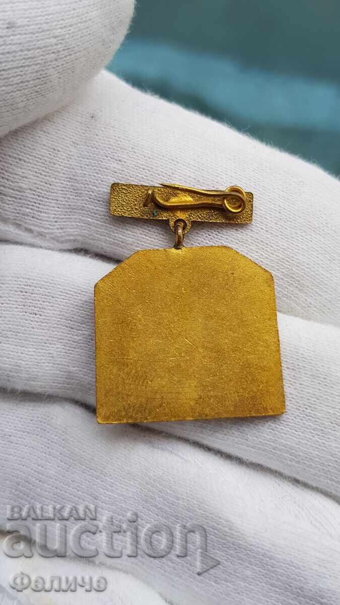 Livrarea Semn comunist rar 80 de ani BKP Kiustendil