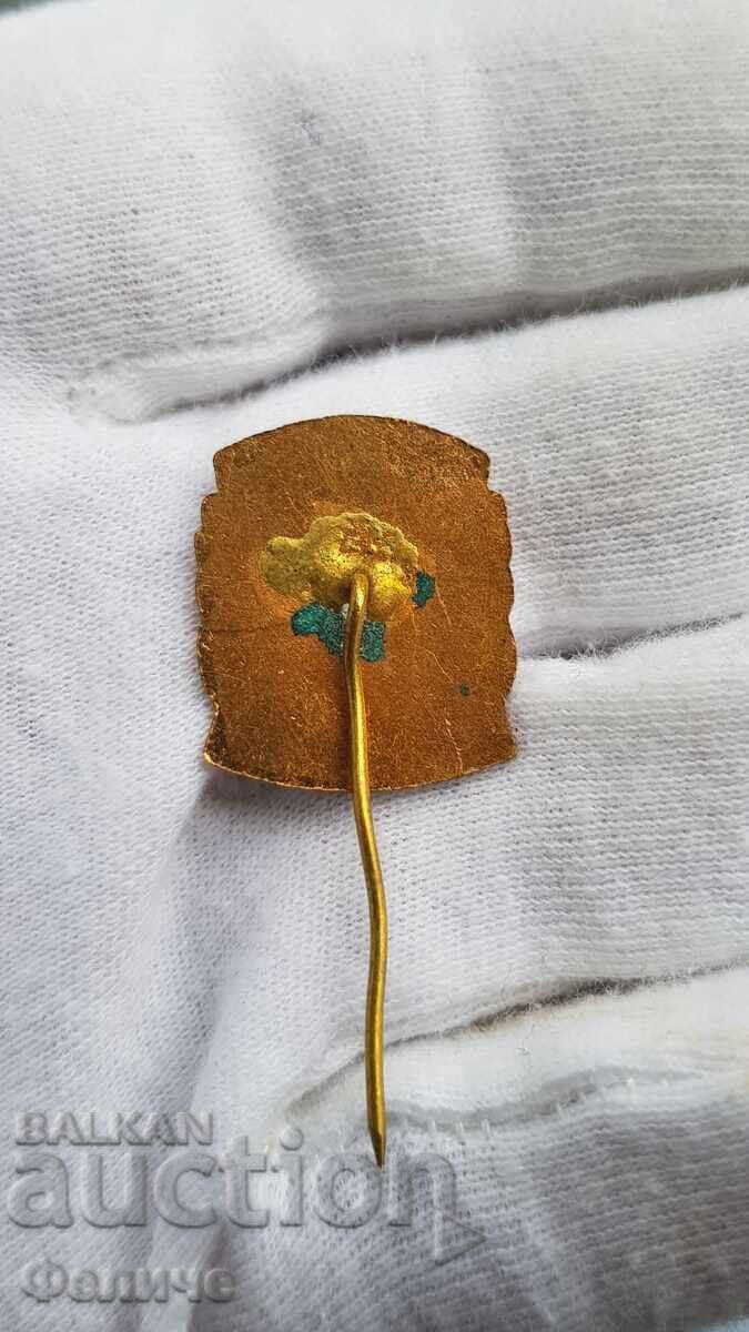 Аукцион Рядък комунистически знак, значка ДОСО ЮНОШИ