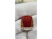 Рядък комунистически знак, значка ДОСО ЮНОШИ