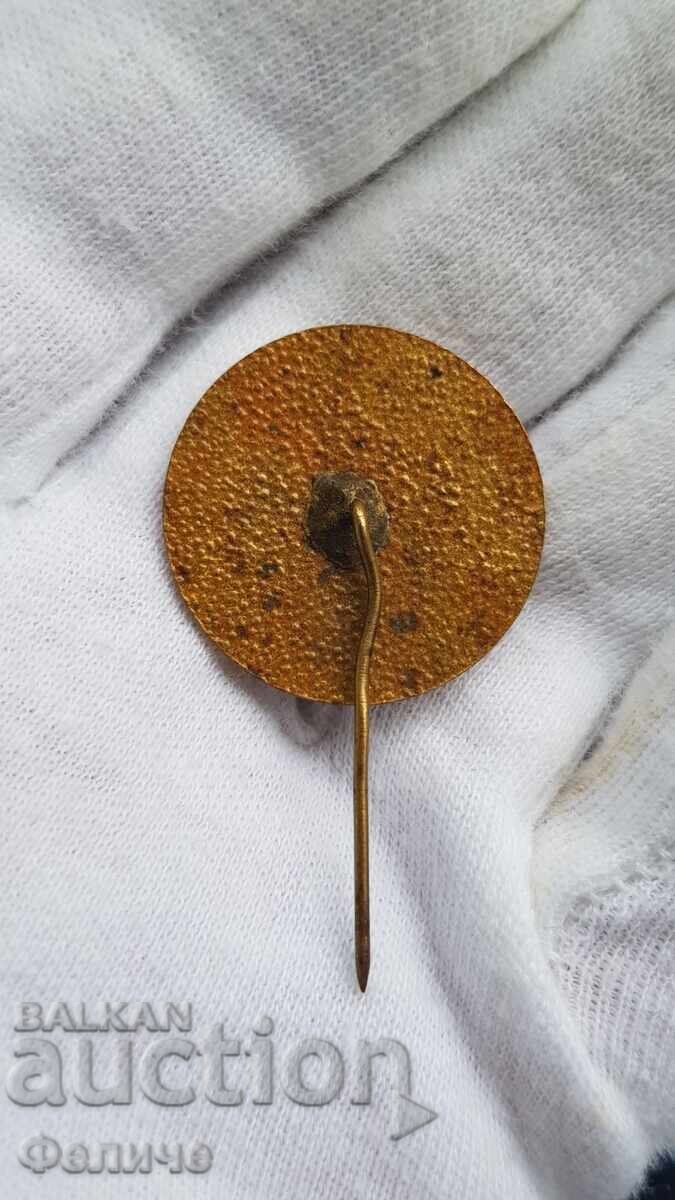 Аукцион Рядък комунистически знак 60 г Партийна Организация Кокаляне