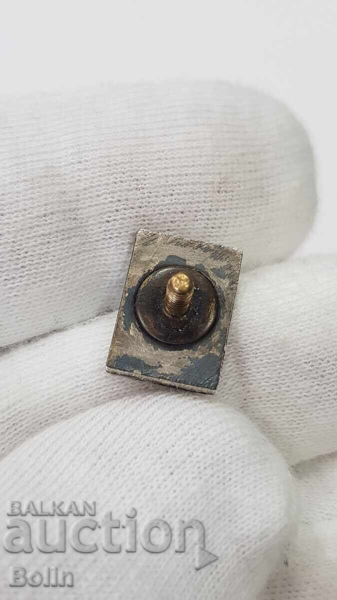 Аукцион Редки сребърни царски знаци, знак БАК - Алпинизъм