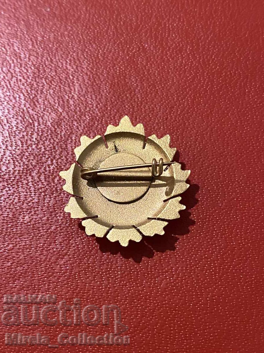 Доставка на Миниатюра орден Народна Република България НРБ първа степен