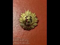 Miniature Order of the People's Republic of Bulgaria, 1st Class