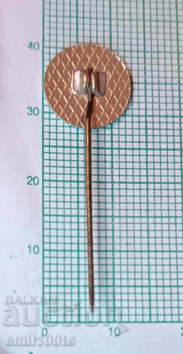 Delivery of Badge - MZ Ivan Yonkov Tryavna