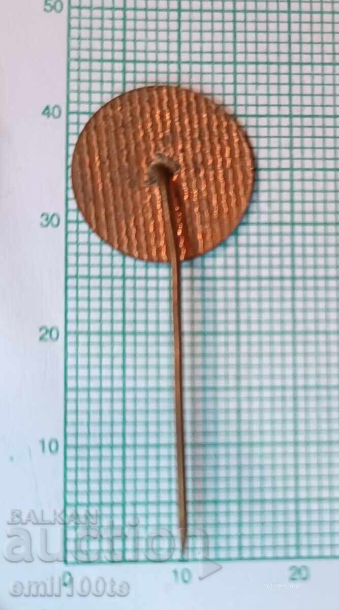 Delivery of Badge - Ethnographic Museum Elhovo - enamel