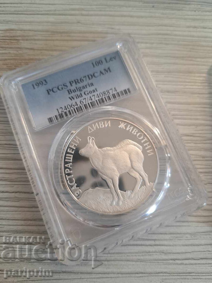 100 лева1993,Дива коза,PR67 DCAMEO на PSGS,БЗЦ ОТ СТОТИНКА 100 лева1993,Дива коза,PR67 DCAMEO на PSGS,БЗЦ ОТ СТОТИНКА