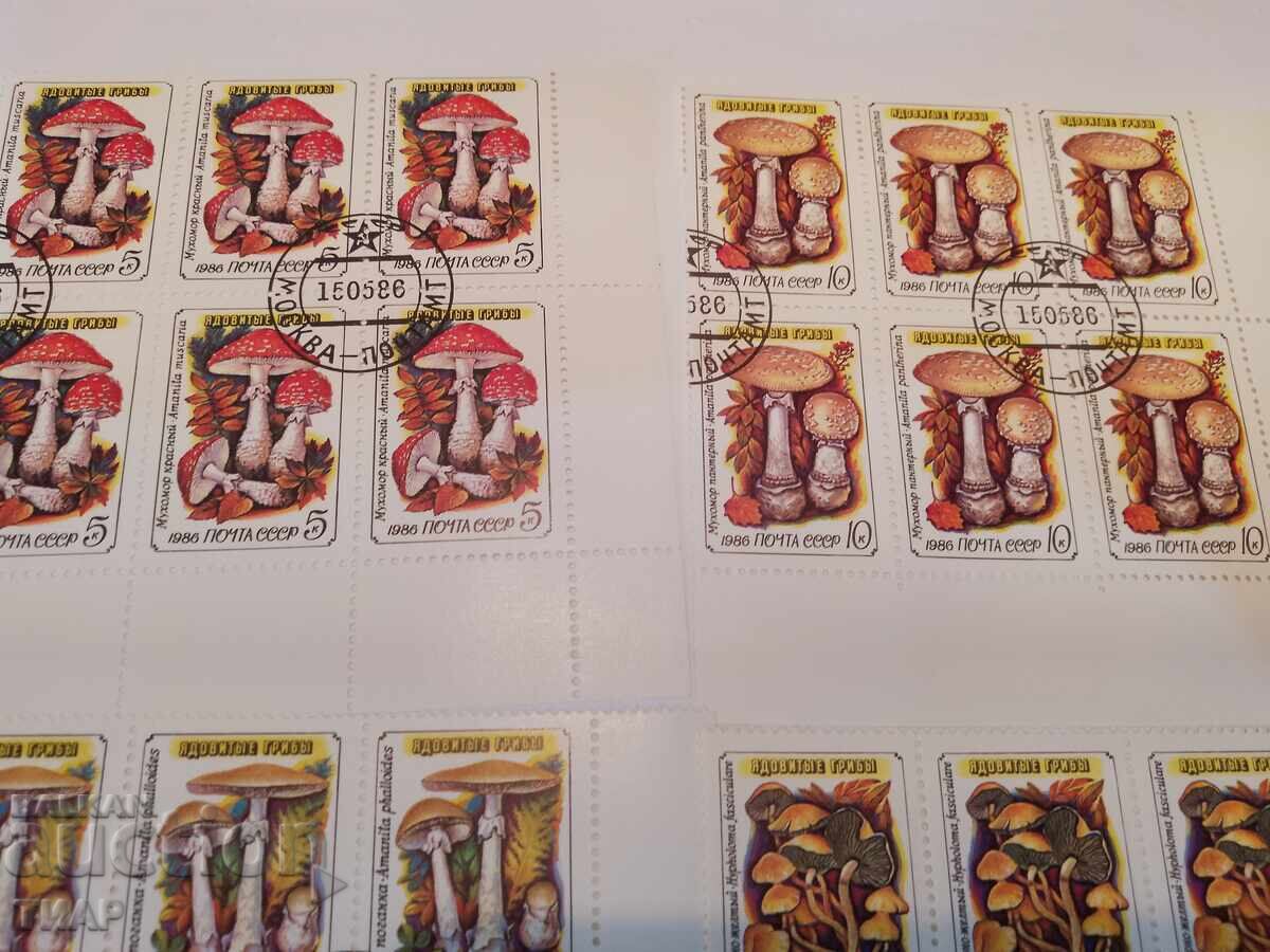 Postage stamps USSR - 0.01 st with price 1.02 BGN | € 0.52 Postage stamps USSR - 0.01 st with price 1.02 BGN | € 0.52