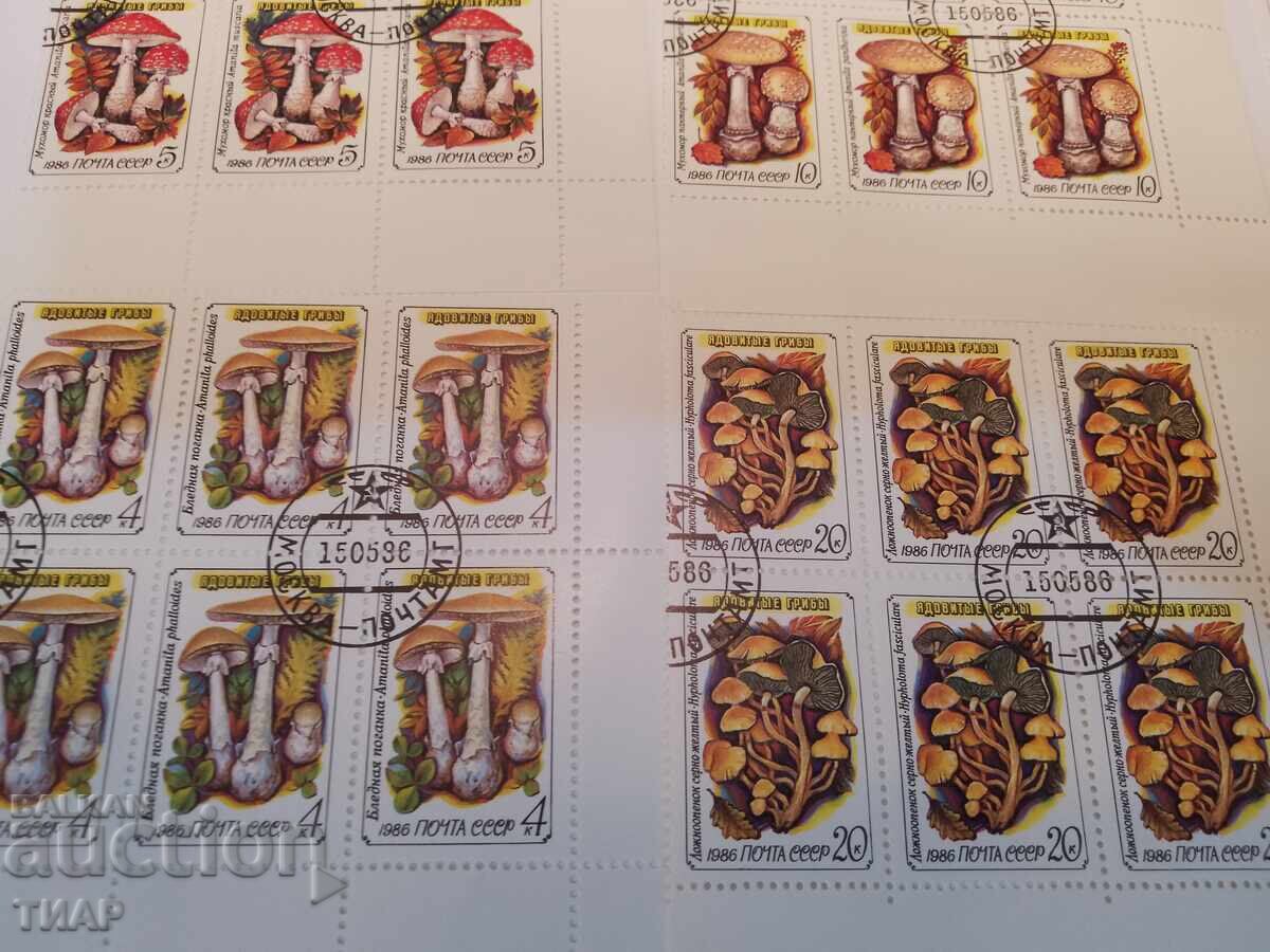Auction Postage stamps USSR - 0.01 st Auction Postage stamps USSR - 0.01 st