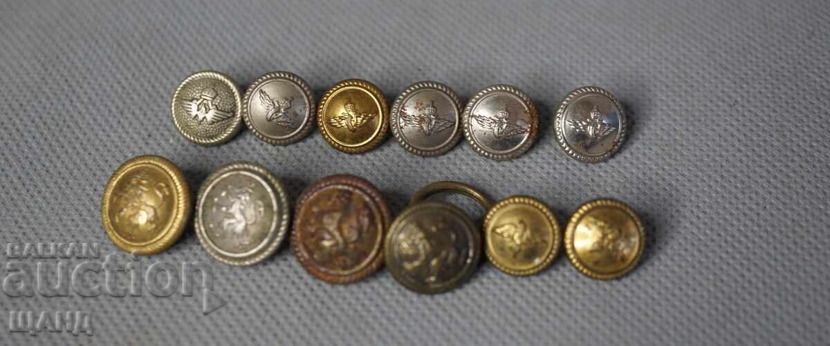 Regatul Bulgariei lot 12 nasturi militari uniformă de ofițer