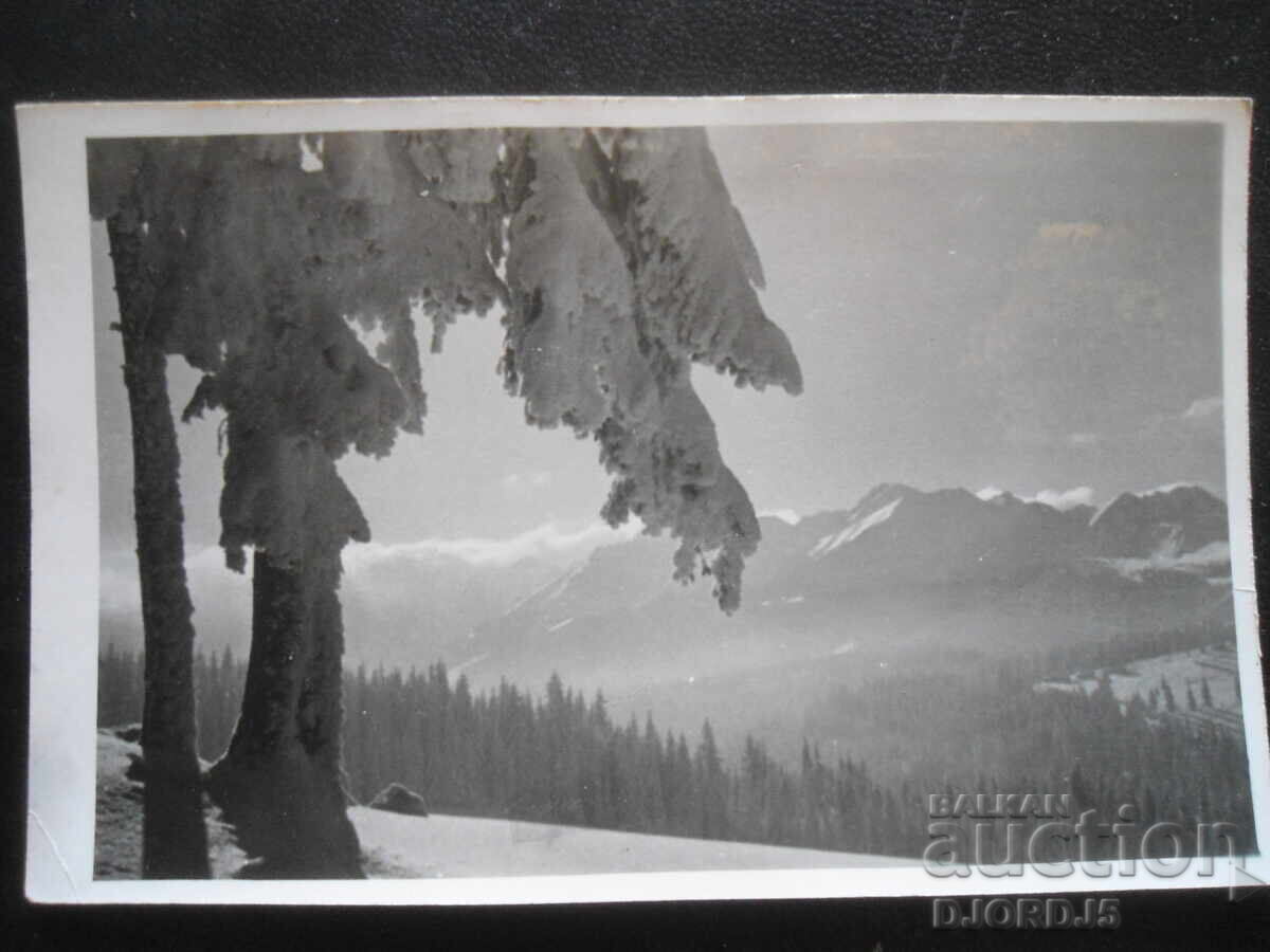 Μπουκοβίνα Τατραζάνσκα. Θέα στο Τατρά, Stara kartichka