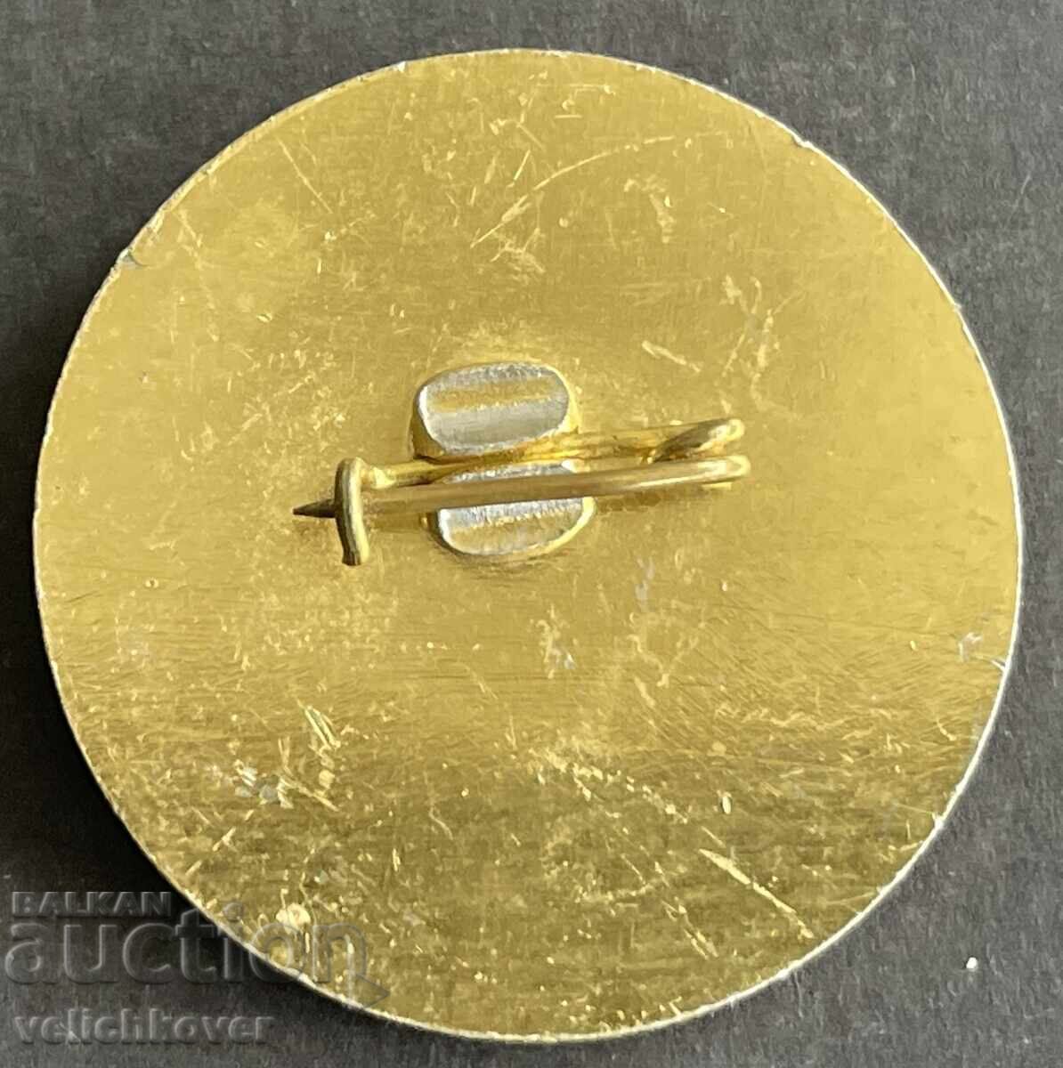 42118 България знак Eвропейска купа ски Боровец 1982г. с цена 4.00 лв. | € 2.05