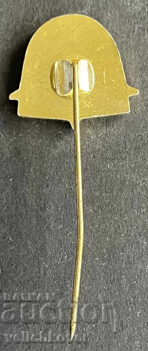 42127 Bulgaria Sign Peshtera Ledenika Vratsa 1961 with price 4.00 BGN | € 2.05