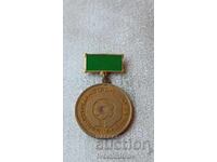 Значка 25 години СП Паркстрой Плевен 1964 - 1989