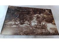 Photo Sofia Youth at Bistrishki Waterfall 1927