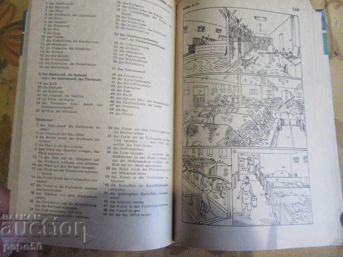 GERMAN PICTURE DICTIONARY - 1975 - 6