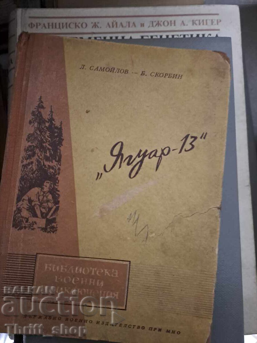 Jaguar - 13 L. Samoilov, B. Skorbin Jaguar - 13 L. Samoilov, B. Skorbin