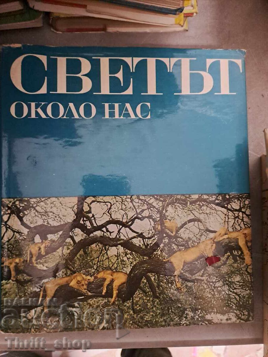 The world around us The world around us