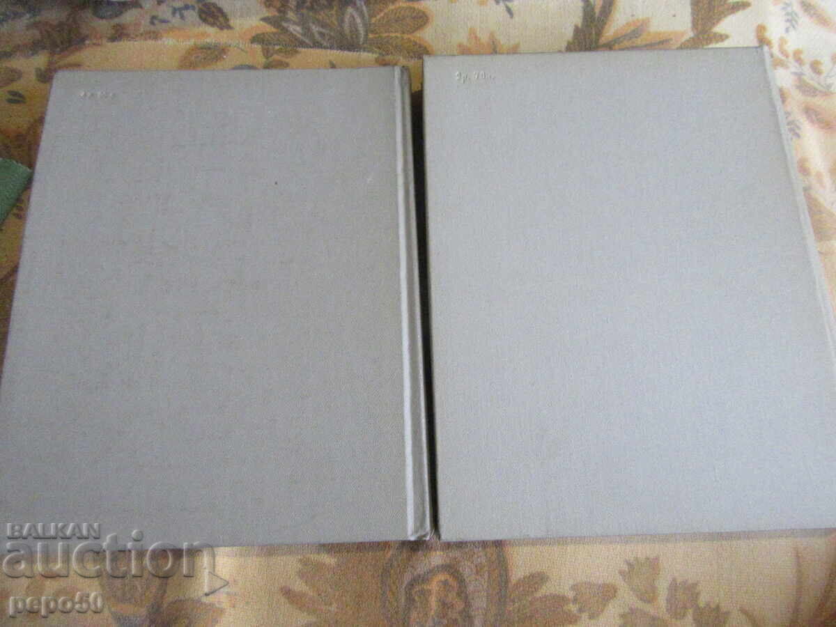 HISTORY OF RUSSIAN ART - Volumes 1 and 2 - 6