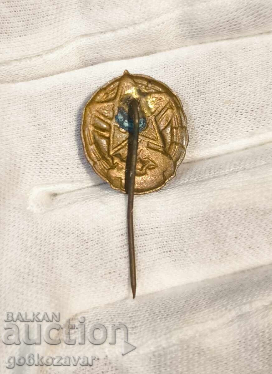 Χάλκινο σήμα κοινωνικού φορέα - ΔΟΣΟ με τιμή 1.90 BGN | € 0.97