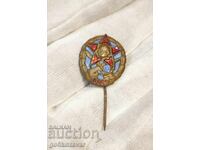 Insigna socială de bronz - DOSO