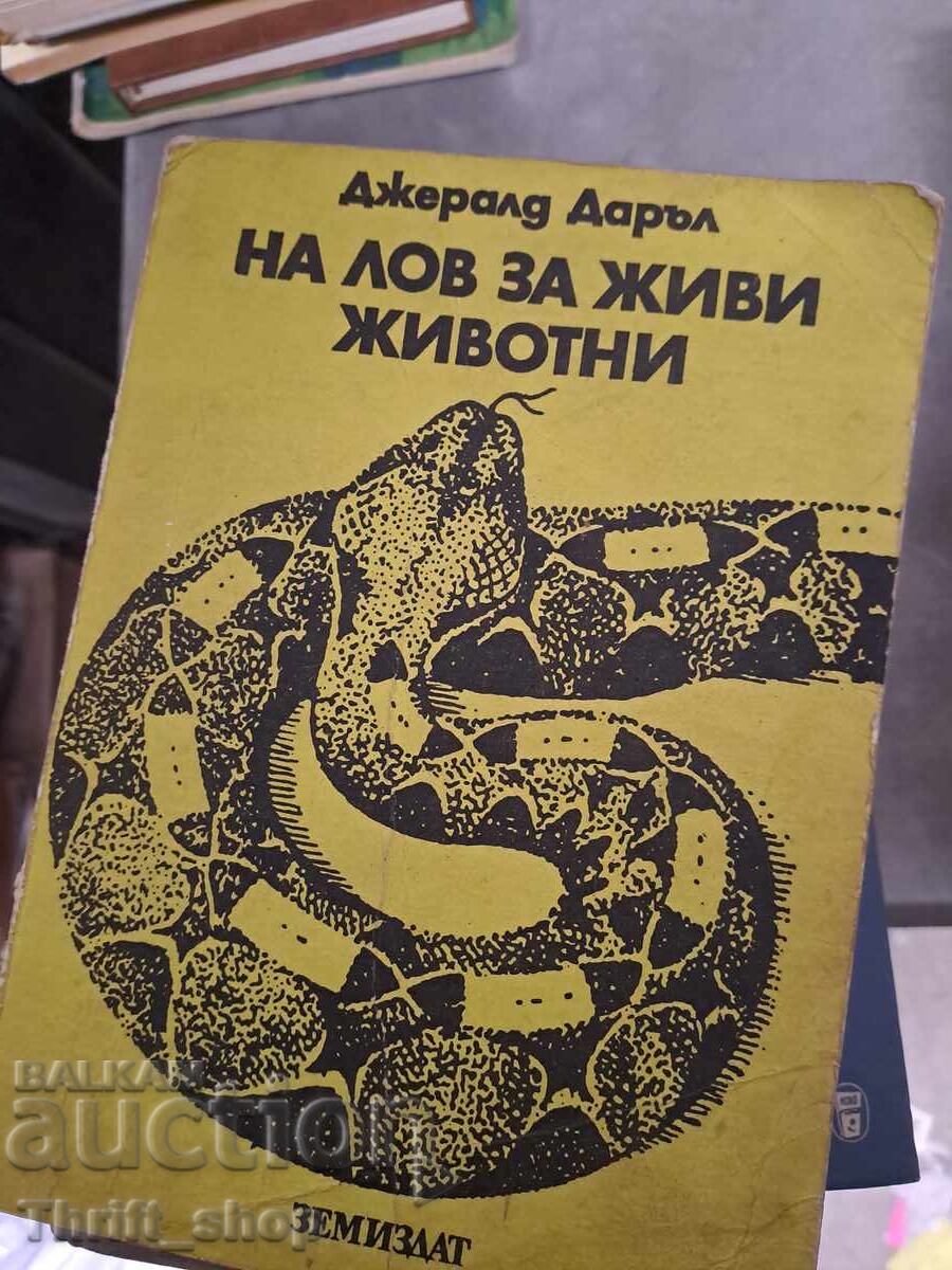 Hunting for live animals Gerald Darrell Hunting for live animals Gerald Darrell