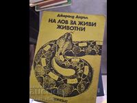 Κυνήγι για ζωντανά ζώα Gerald Darrell