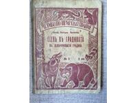 Αντίκα βιβλιοδεσία