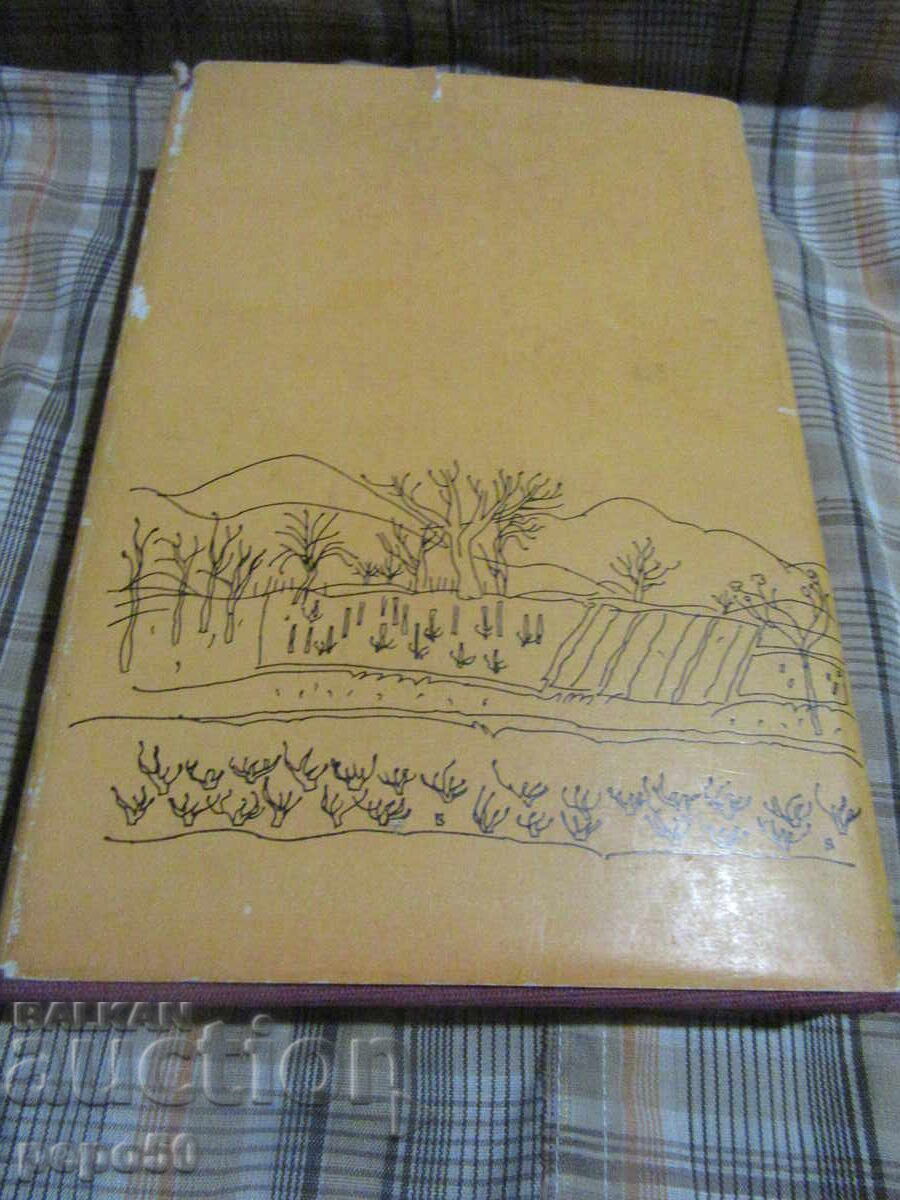 TRAVELS THROUGH BULGARIA - Pavel Deliradev - 1989 - 6 TRAVELS THROUGH BULGARIA - Pavel Deliradev - 1989 - 6