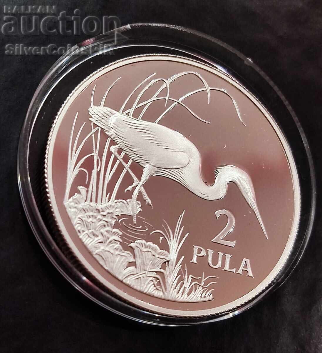 Silver 2 Pula Bird 1986 Botswana Endangered Animals with price 92.00 BGN | € 47.04 Silver 2 Pula Bird 1986 Botswana Endangered Animals with price 92.00 BGN | € 47.04