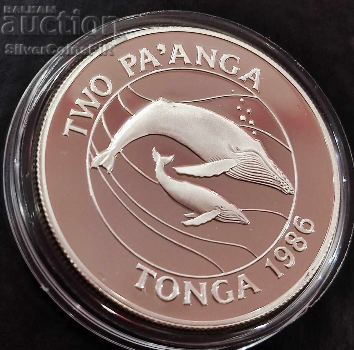 Silver 2 Pa'anga Whales 1986 Tonga Endangered Animals - 5 Silver 2 Pa'anga Whales 1986 Tonga Endangered Animals - 5