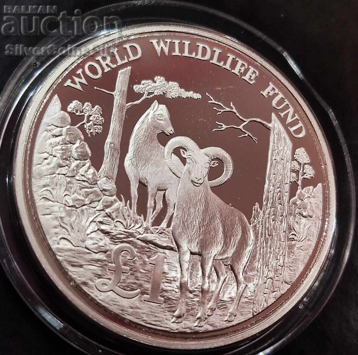 Delivery of Silver 1 Pound Mouflon 1986 Cyprus Endangered Animals Delivery of Silver 1 Pound Mouflon 1986 Cyprus Endangered Animals