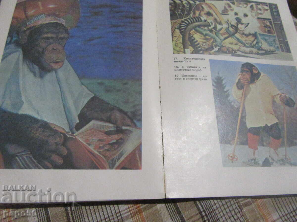 Δημοπρασία ΖΩΑ ΜΕ ΕΠΑΓΓΕΛΜΑΤΑ - Βεσέλιν Ντένκοφ - 1988