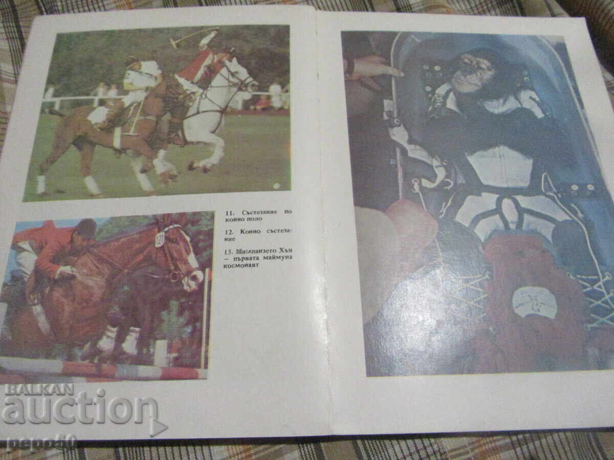 Доставка на ЖИВОТНИ С ПРОФЕСИИ - Веселин Денков - 1988г.