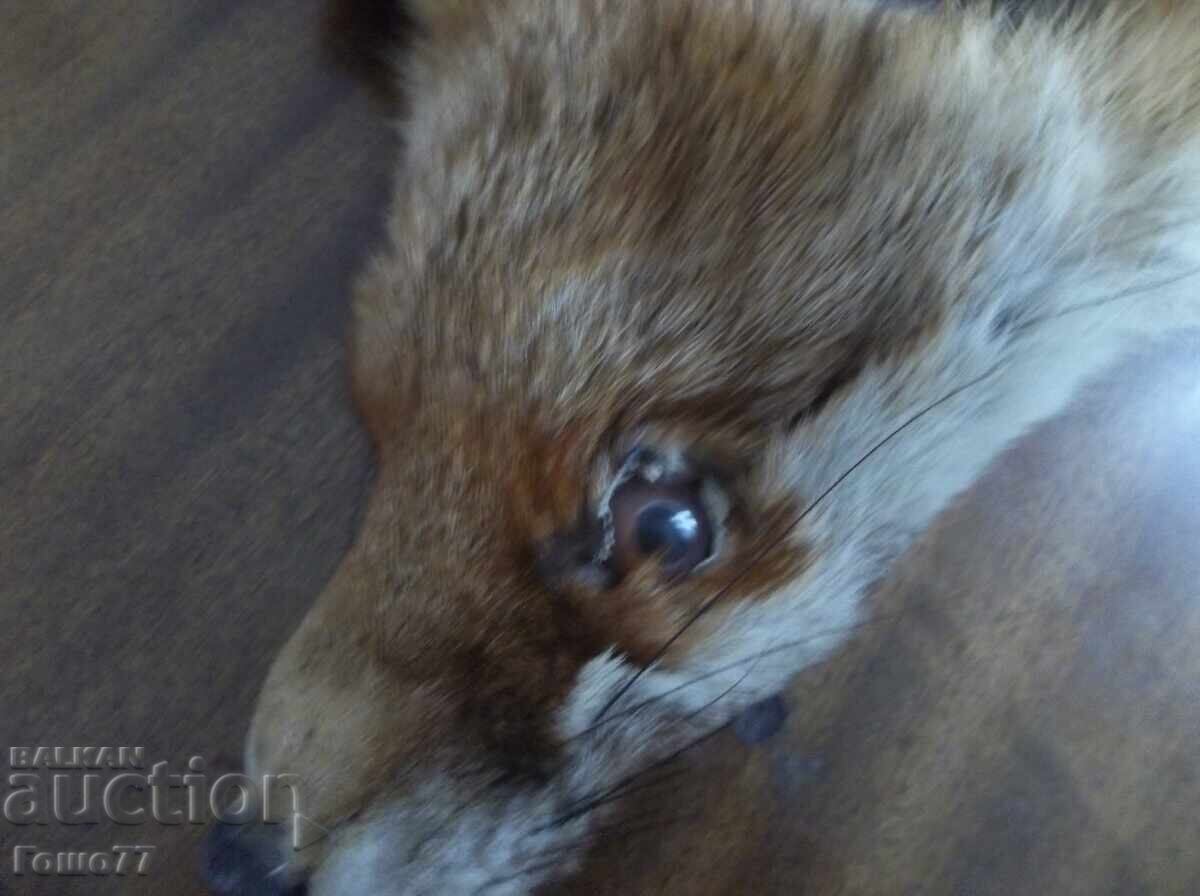 Δερμάτινο με τιμή 30.00 BGN | € 15.34