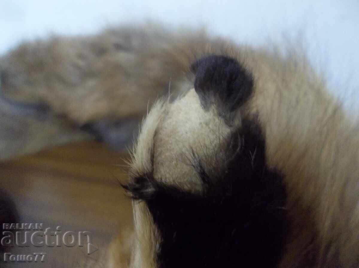 Παράδοση Δερμάτινο