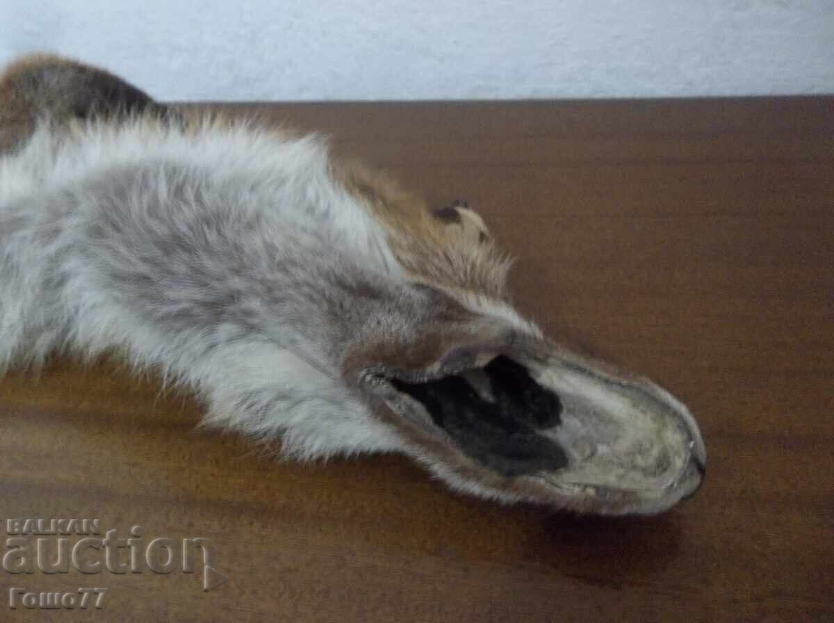 Δερμάτινο - 6