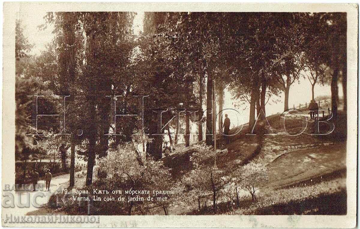 1931 СТАРА КАРТИЧКА ВАРНА КЪТ ОТ МОРСКАТА ГРАДИНА Е567