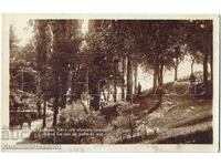 1931 Old Postcard Varna Corner of the Sea Garden E567